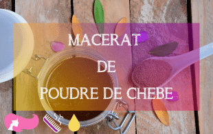 Recette DIY - Macérât de Chébé | MA PLANETE BEAUTE